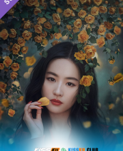 The Tale of Rose – Kisskh English Subtitle