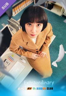Extraordinary Attorney Woo – Kisskh English Subtitle poster