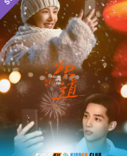 Falling Into You – Kisskh English Subtitle