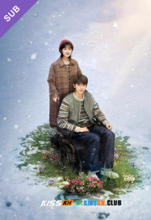 Angels Fall Sometimes – Kisskh English Subtitle poster