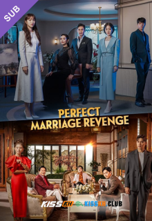Perfect Marriage Revenge – Kisskh English Subtitle poster