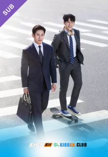 The Auditors – Kisskh English Subtitle poster