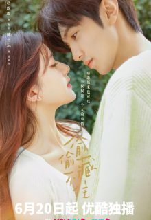 Hidden Love poster