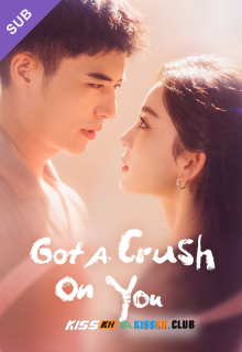 Got a Crush on You – Kisskh English Subtitle poster