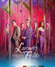 Lavender Fields