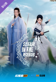 Dream in the Mirror poster