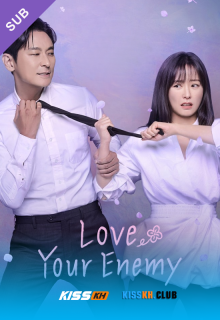 Love Your Enemy poster