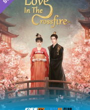 Love in the Crossfire