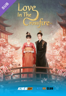Love in the Crossfire poster
