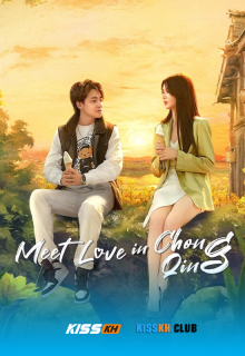 Meet Love in Chong Qing poster
