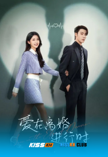 Love on the Edge of Divorce poster