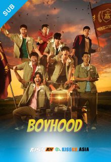 Boyhood poster