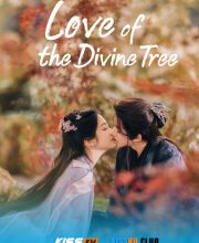 Love of the Divine Tree