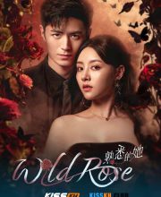 Wild Rose