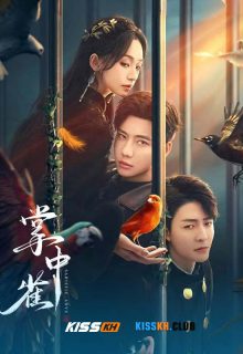 Sadistic Love poster