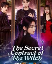 The Secret Contract of the Witch