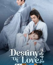 Destiny of Love