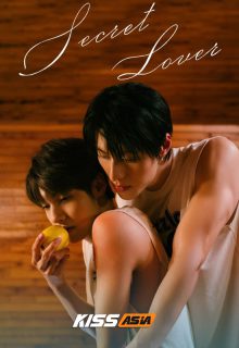 Secret Lover poster