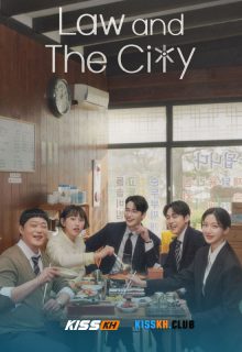 Law and the City poster
