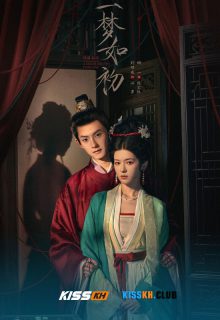 A Dream like the True Love poster