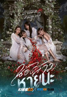 Hide & Sis poster