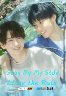 Stay by My Side after the Rain poster