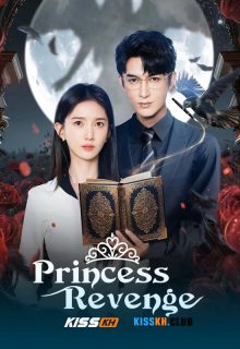 Princess Revenge poster