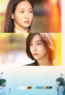 You and Everything Else poster