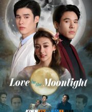 Love in the Moonlight