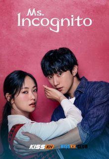 Ms. Incognito poster