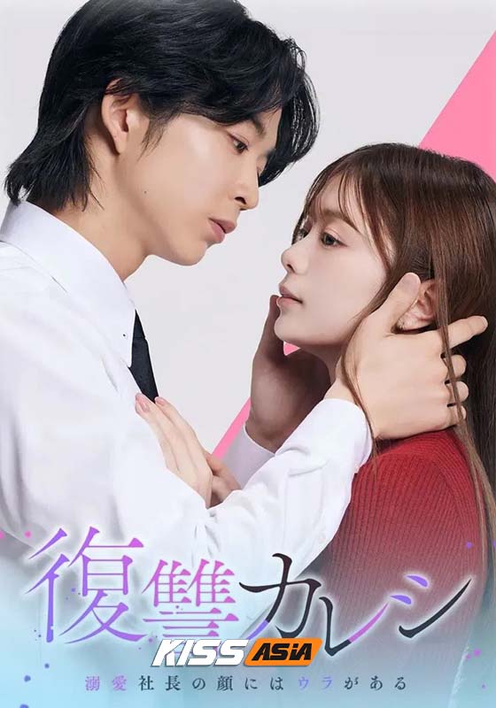 Revenge Boyfriend (2025)