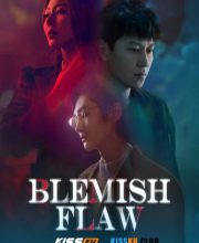 Blemish Flaw