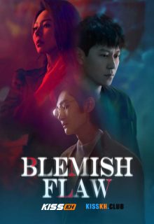 Blemish Flaw poster