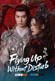 Flying up without Disturb poster