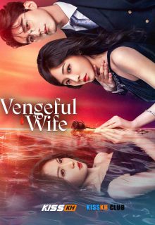 Vengeful Wife poster