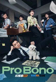 Pro Bono poster