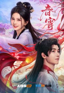 Spring Night poster