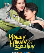 Money Honey Brainy