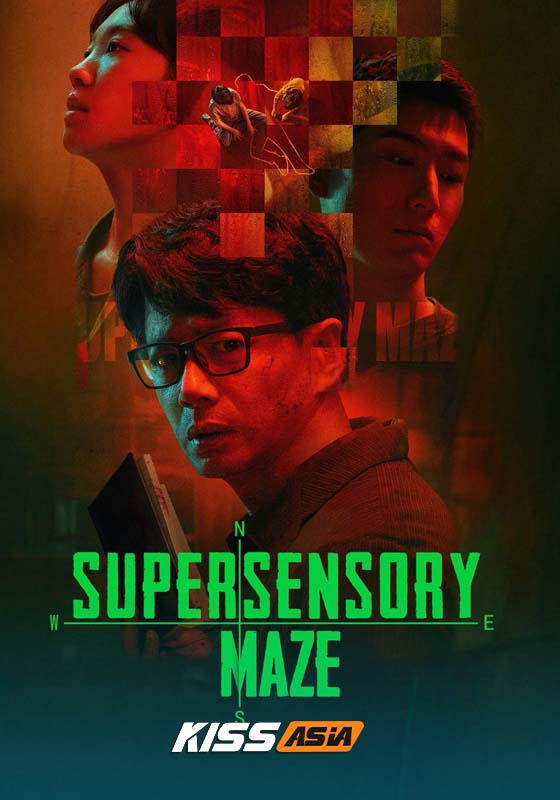 Supersensory Maze (2025)