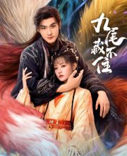 Eternal Love of the Fox
