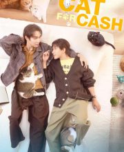 Cat for Cash