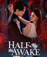 Half-Awake