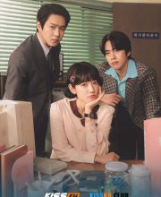Undercover Miss Hong