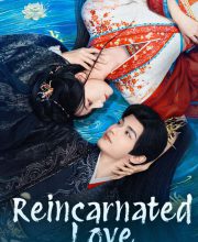Reincarnated Love