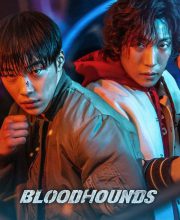 Bloodhounds