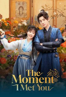 The Moment I Met You poster