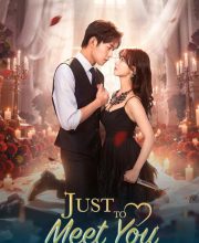 Just to Meet You (2026)