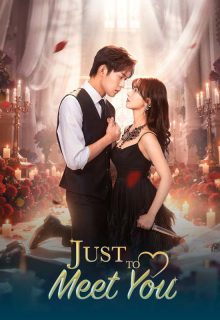 Just to Meet You (2026) poster